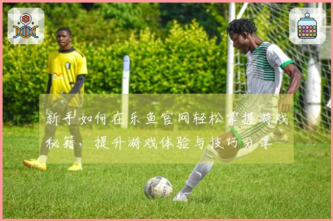 新手如何在乐鱼官网轻松掌握游戏秘籍，提升游戏体验与技巧分享