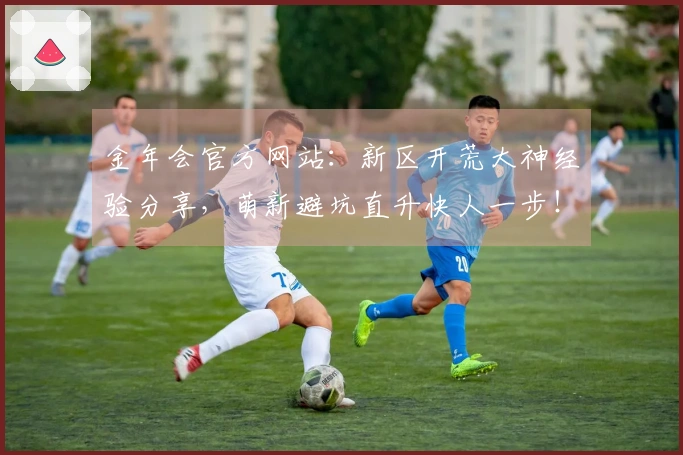 金年会官方网站：新区开荒大神经验分享，萌新避坑直升快人一步！