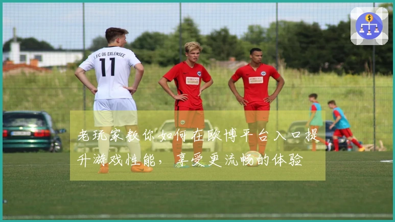 老玩家教你如何在欧博平台入口提升游戏性能，享受更流畅的体验