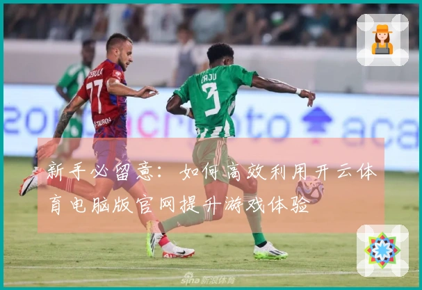 新手必留意：如何高效利用开云体育电脑版官网提升游戏体验