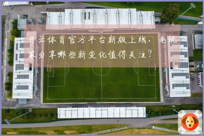 开云体育官方平台新版上线，老玩家分享哪些新变化值得关注？