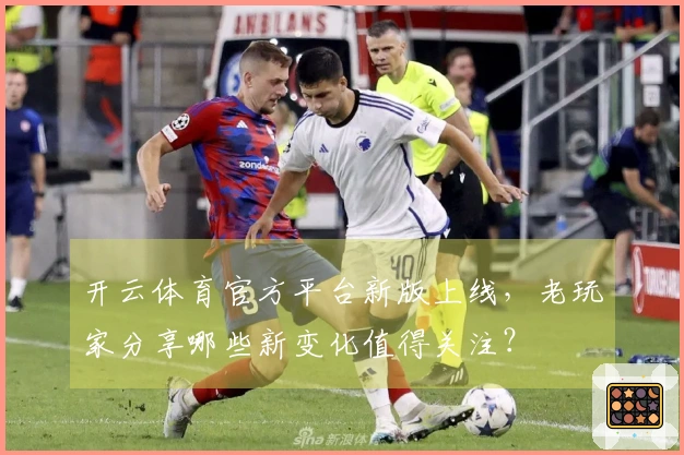 开云体育官方平台新版上线，老玩家分享哪些新变化值得关注？